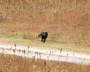 20141004-WCXL-0010.jpg