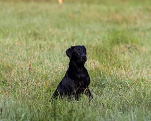 20220925-SHL-0010.jpg