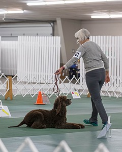 20190514-RA-0254.jpg