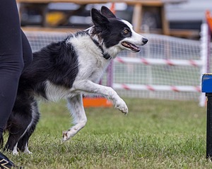 20230917-PVKC-2748.jpg