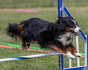 20200819-1796.jpg