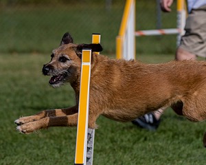 20200819-0754.jpg