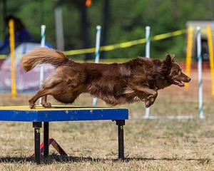 20160619-CCKC-1327.jpg