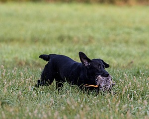 20220925-SHL-0013.jpg