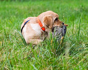 20160605-C-0039.jpg