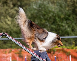 20200819-2325.jpg