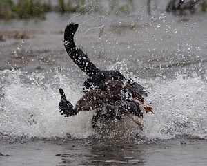 20080531-HRW-1001.jpg