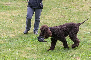 20190512-BD-0140.jpg
