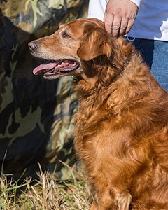 Gunner Haberman