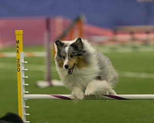 20150321-LEAP-1330.jpg