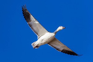 20151206-3200.jpg