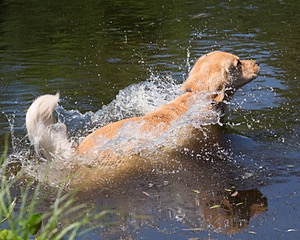 20130601-SHRW-0049.jpg