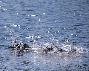 Rio Abbruzzese