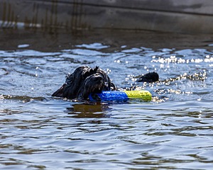 Rio Abbruzzese