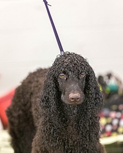 20190514-C-0003.jpg