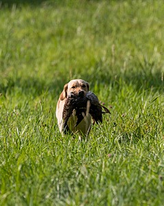 20200809-SHL-0022.jpg