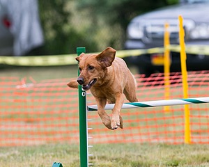 20150612-CCKC-0047.jpg