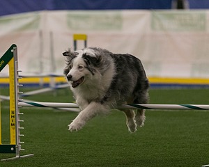 20150321-LEAP-0366.jpg