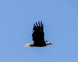 20240825-C-0005.jpg