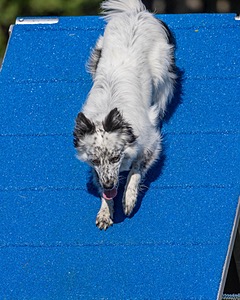 20230917-PVKC-2072.jpg