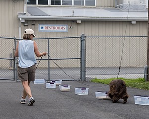 20260718-NSKC-0462.jpg