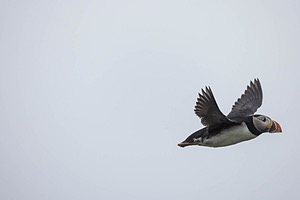 20230711-1834.jpg