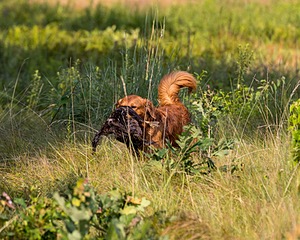 20210807-SHL-0041.jpg