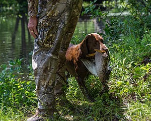 20170716-WCXW-1241.jpg