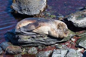 20191218-1013.jpg