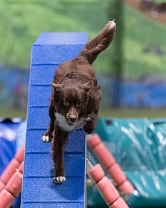 Milton Ericsson