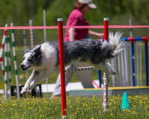 20170520-NEAT-1556.jpg