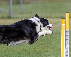20200819-0386.jpg
