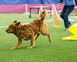 20150322-LEAP-0655.jpg
