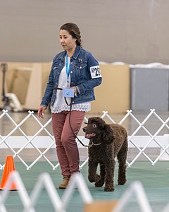 20190514-RA-0329.jpg