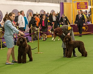 20180213-0291.jpg