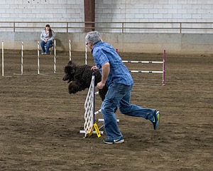 20190513-AG-0074.jpg