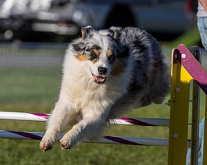 20230917-PVKC-2014.jpg