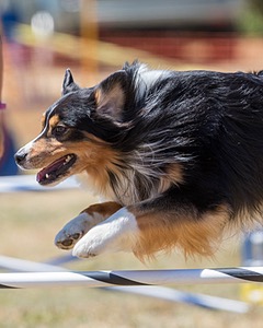 20160618-CCKC-1628.jpg