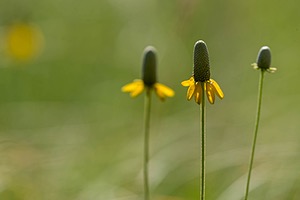 20200618-1542.jpg