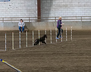 20190513-AG-0057.jpg
