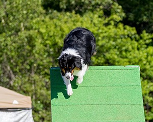 20160619-CCKC-0227.jpg