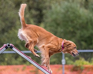 20200819-2347.jpg