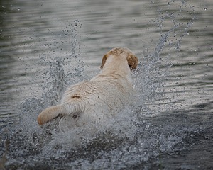 20080601-SRW-1145.jpg