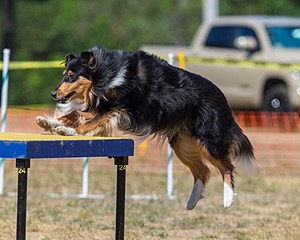 20160619-CCKC-1622.jpg