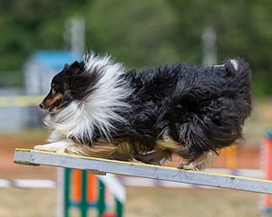 20160619-CCKC-1242.jpg