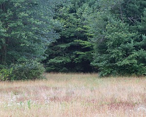 20130713-C-0003.jpg