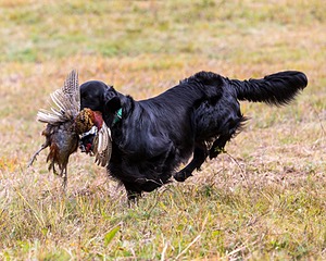 20161008-WCL-0008.jpg