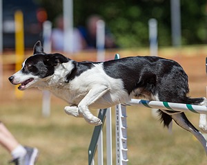 20160619-CCKC-0834.jpg