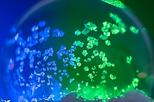 Frozen Soap Bubbles, Massachusetts