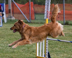 20200819-0405.jpg